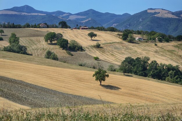 Foto vista panoramica del campo agricolo contro il cielo.