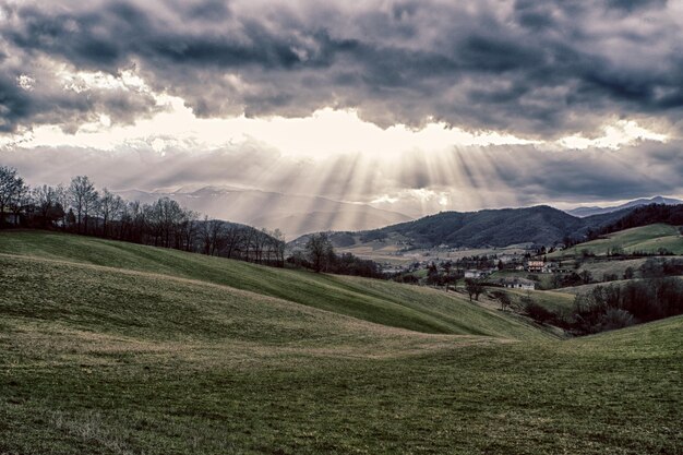 Photo scenic view of agricultural field against sky