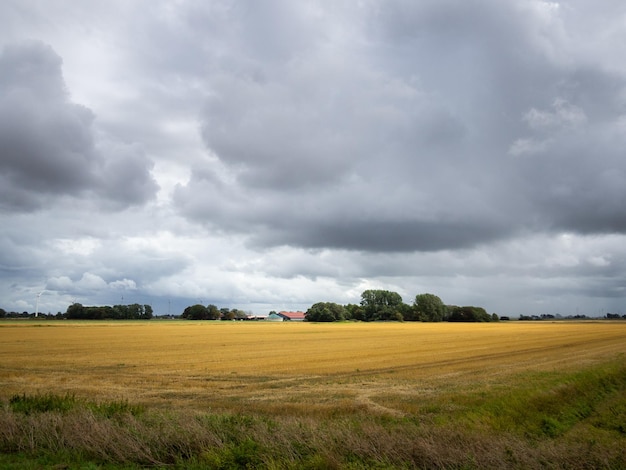 Photo scenic view of agricultural field against sky