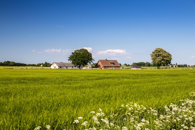 Photo scenic view of agricultural field against sky