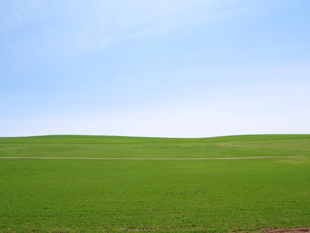 Сценический вид сельскохозяйственного поля на фоне неба