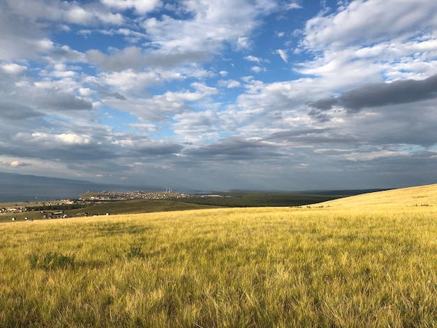 Foto vista panoramica di un campo agricolo contro il cielo