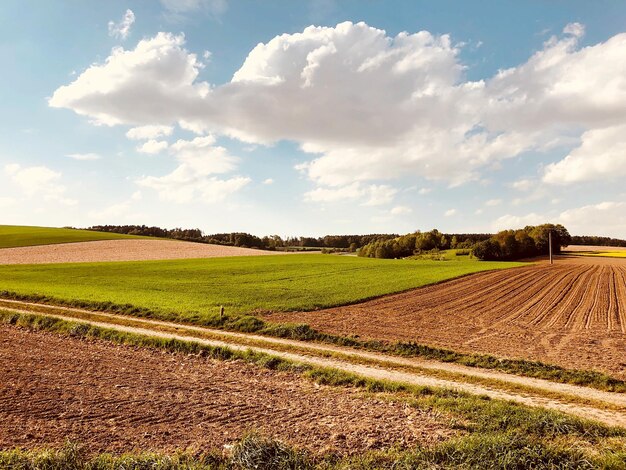 Foto vista panoramica di un campo agricolo contro il cielo