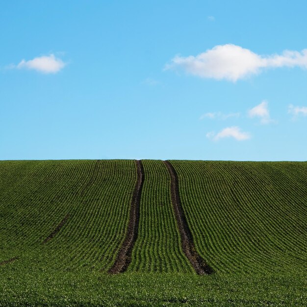 Foto vista panoramica di un campo agricolo contro il cielo