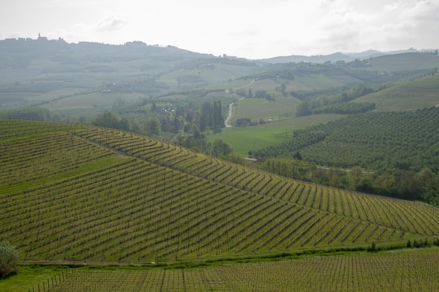 Photo scenic view of agricultural field against sky