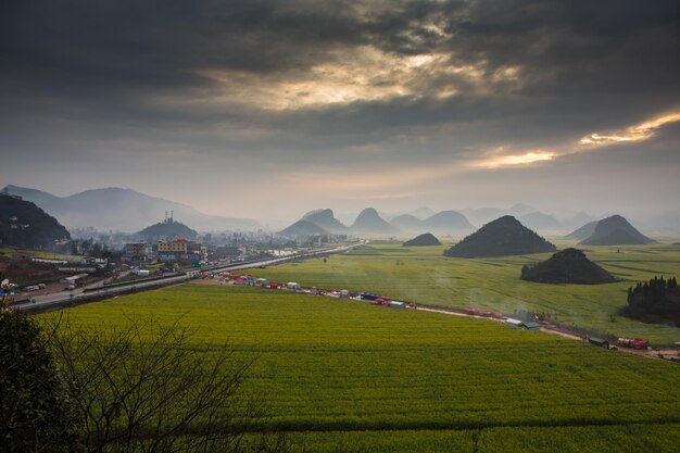 Scenic view of agricultural field against sky