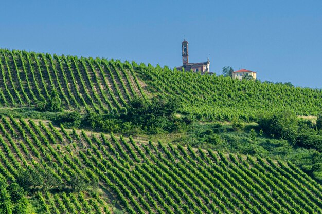 Foto vista panoramica di un campo agricolo contro il cielo