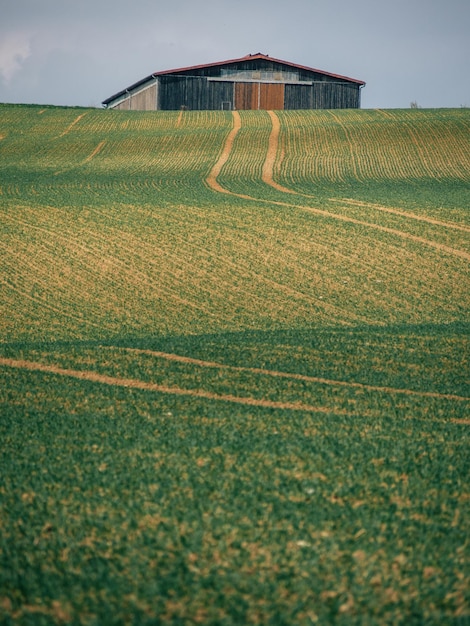 Photo scenic view of agricultural field against sky