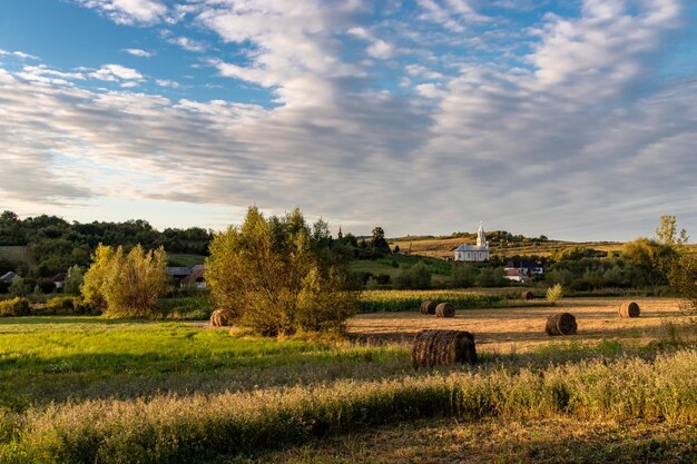 Photo scenic view of agricultural field against sky