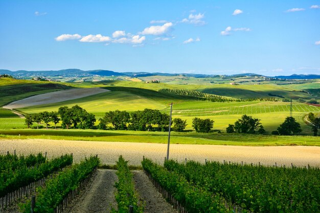 Photo scenic view of agricultural field against sky