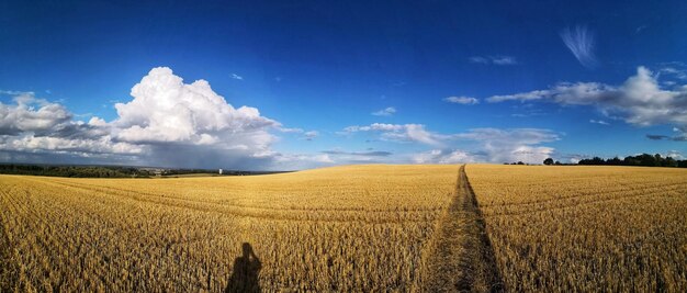 Vista panoramica di un campo agricolo contro il cielo