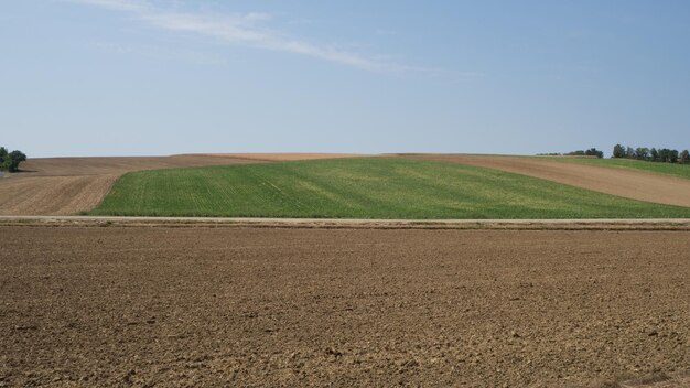 Foto vista panoramica di un campo agricolo contro il cielo