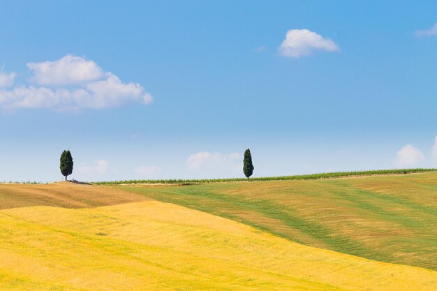 Foto vista panoramica di un campo agricolo contro il cielo