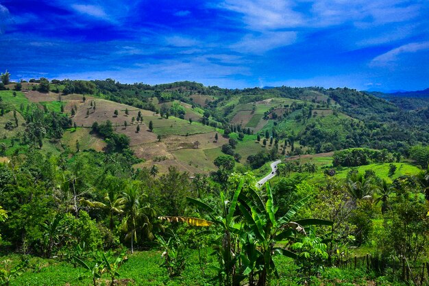 Foto vista panoramica di un campo agricolo contro il cielo