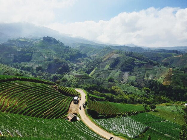 Photo scenic view of agricultural field against sky