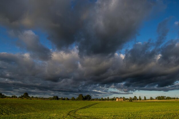 Scenic view of agricultural field against sky