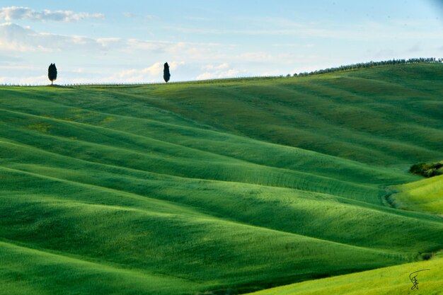 Foto vista panoramica di un campo agricolo contro il cielo