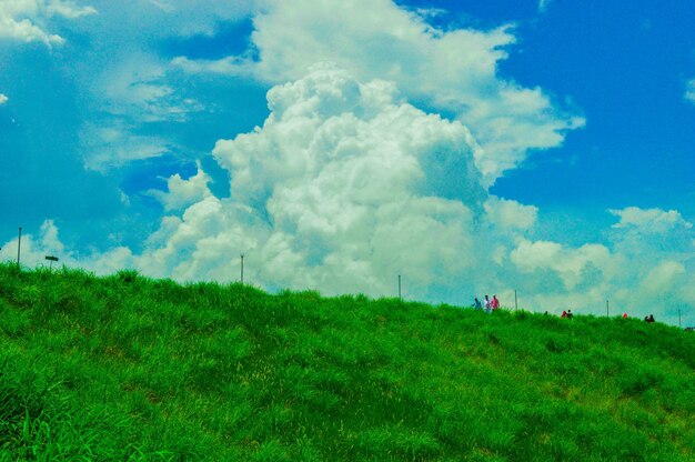 Foto vista panoramica di un campo agricolo contro il cielo