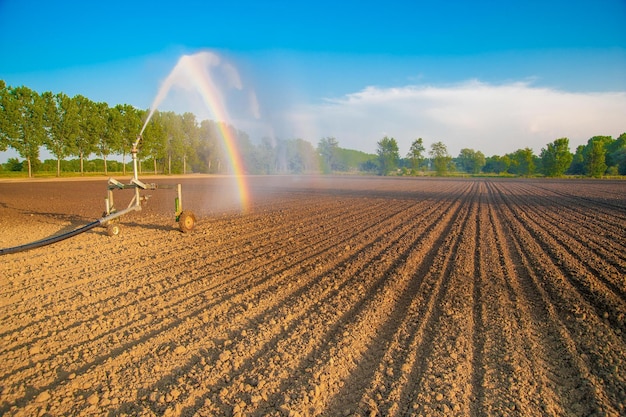 Foto vista panoramica di un campo agricolo contro il cielo