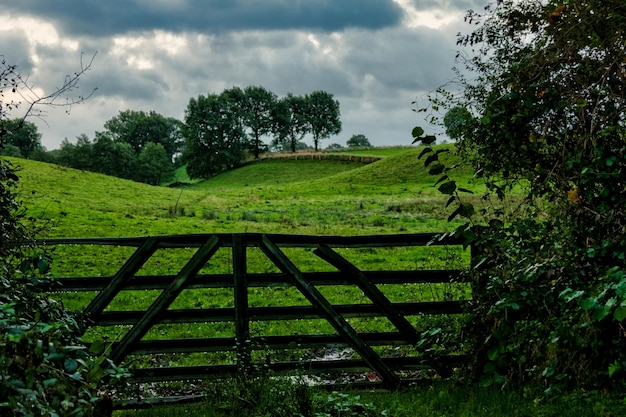 Photo scenic view of agricultural field against sky