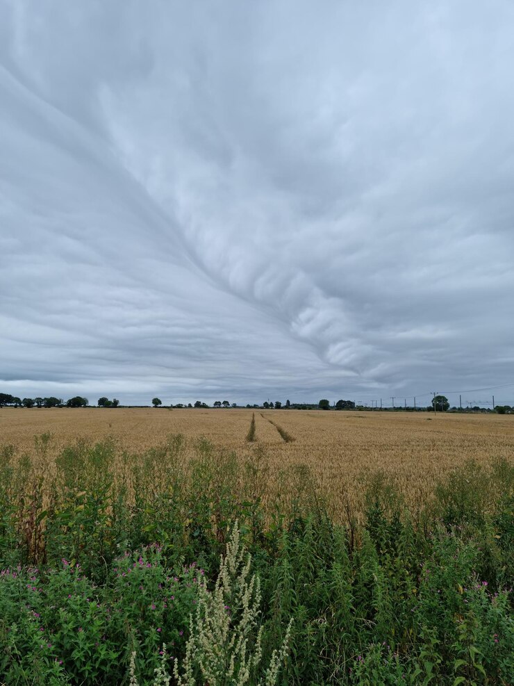 Photo scenic view of agricultural field against sky