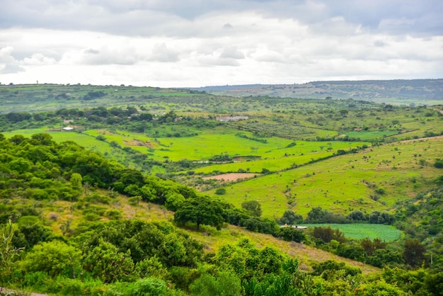 Foto vista panoramica di un campo agricolo contro il cielo