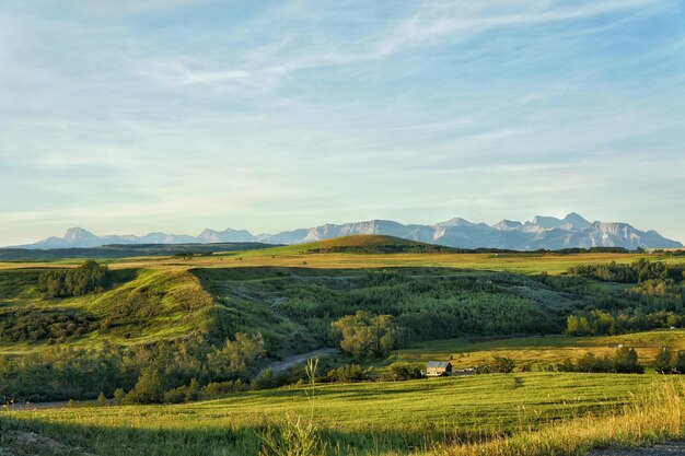 Photo scenic view of agricultural field against sky