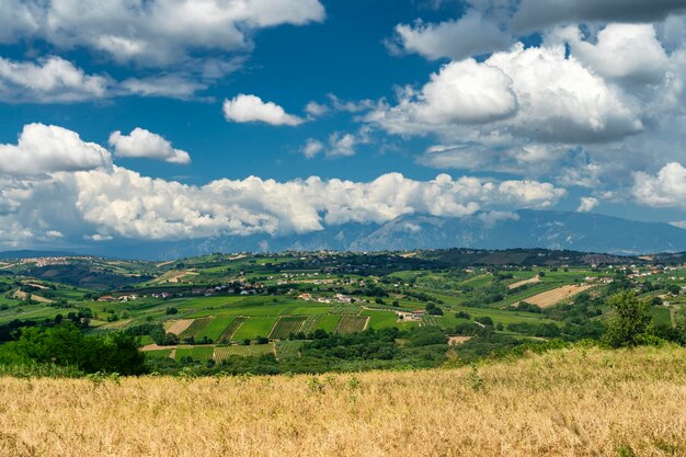 Photo scenic view of agricultural field against sky