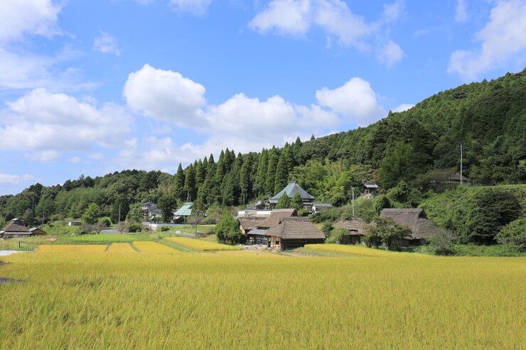 Photo 空の背景にある農地の景色