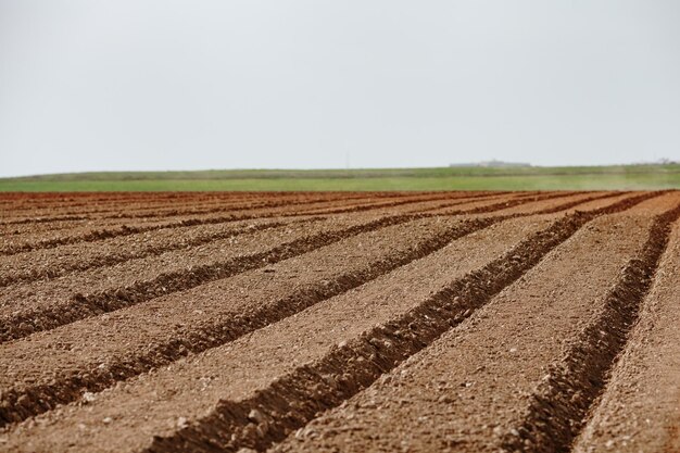 Foto vista panoramica di un campo agricolo contro il cielo