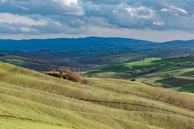 Photo scenic view of agricultural field against sky