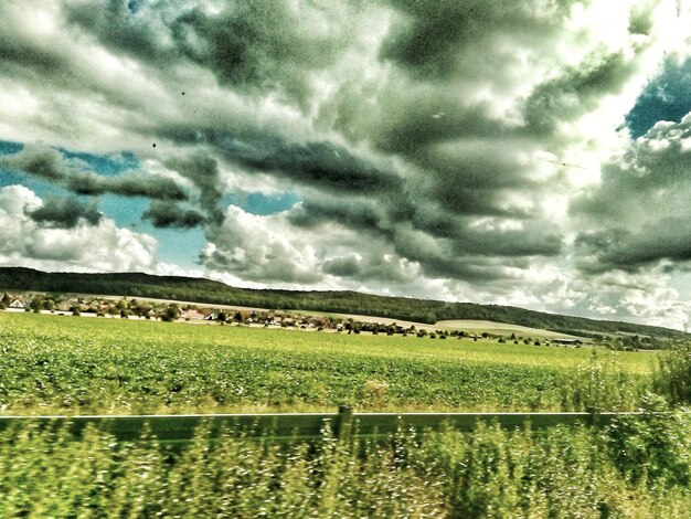 Scenic view of agricultural field against sky