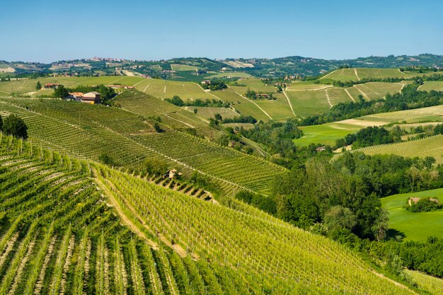 Foto vista panoramica di un campo agricolo contro il cielo