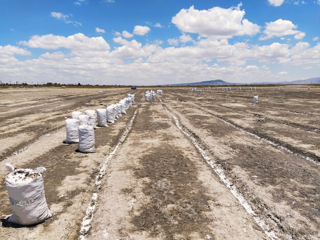 Foto vista panoramica di un campo agricolo contro il cielo