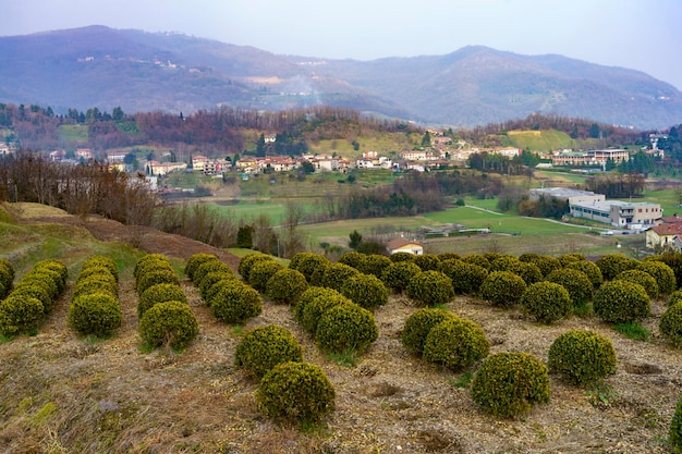 Foto vista panoramica di un campo agricolo contro il cielo