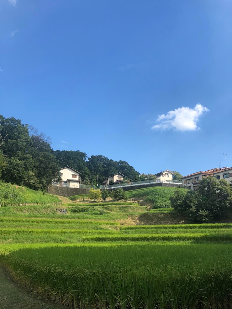 Photo 空の背景にある農地の景色