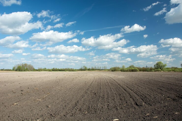 Photo scenic view of agricultural field against sky