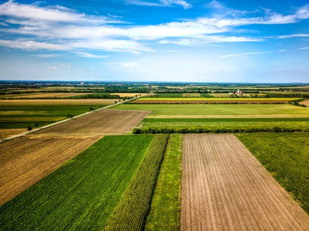 Photo scenic view of agricultural field against sky