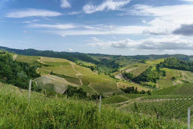 Foto vista panoramica di un campo agricolo contro il cielo