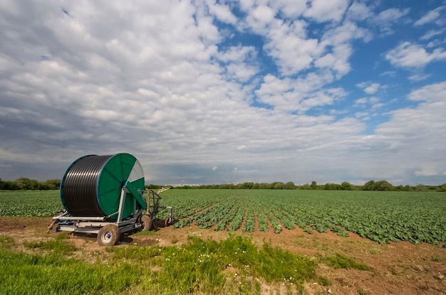 Foto vista panoramica di un campo agricolo contro il cielo