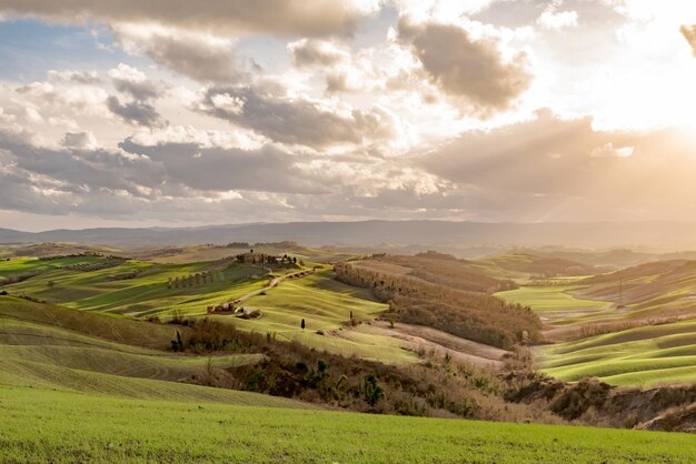 Foto vista panoramica di un campo agricolo contro il cielo