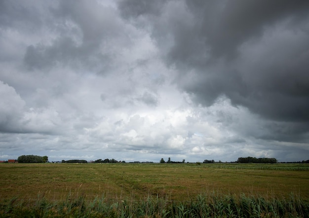 Photo scenic view of agricultural field against sky