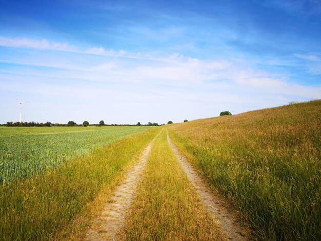 Photo scenic view of agricultural field against sky