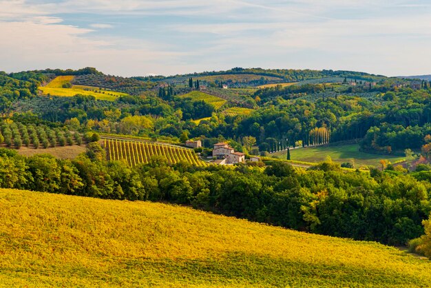 Foto vista panoramica di un campo agricolo contro il cielo