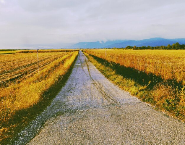 Photo scenic view of agricultural field against sky