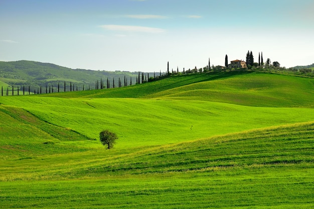 Foto vista panoramica di un campo agricolo contro il cielo