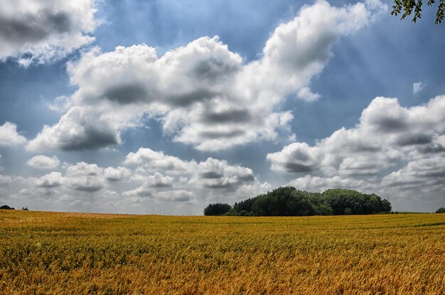 Photo scenic view of agricultural field against sky