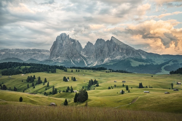 Foto vista panoramica di un campo agricolo contro il cielo