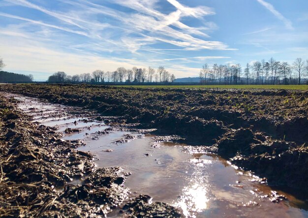 Photo scenic view of agricultural field against sky