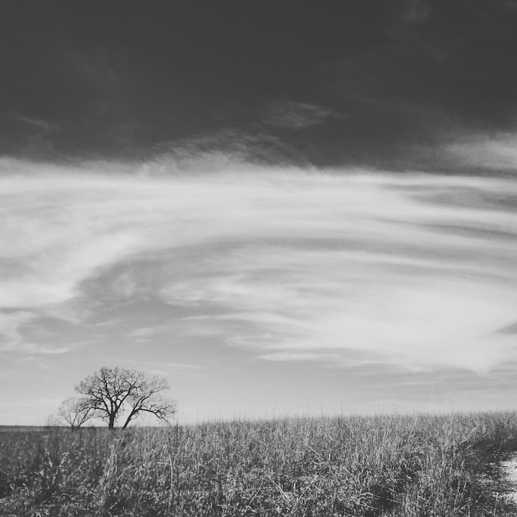 Photo 空の背景にある農地の景色